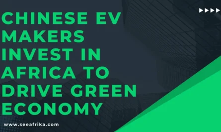 Chinese EV Makers Invest in Africa to Drive Green Economy