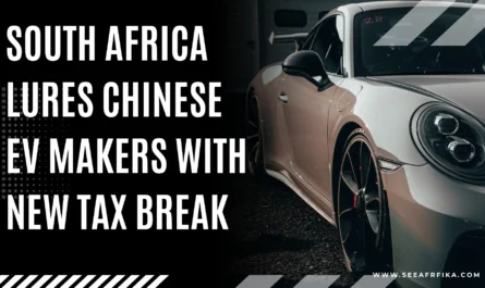 South Africa Lures Chinese EV Makers with New Tax Break