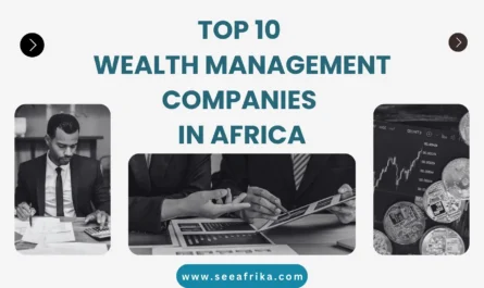 top 10 wealth management companies in Africa