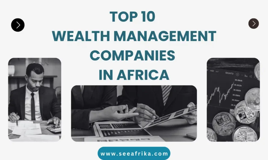 Top 10 Wealth Management Companies in Africa