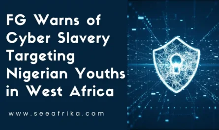 FG Warns of Cyber Slavery Targeting Nigerian Youths in WAfrica