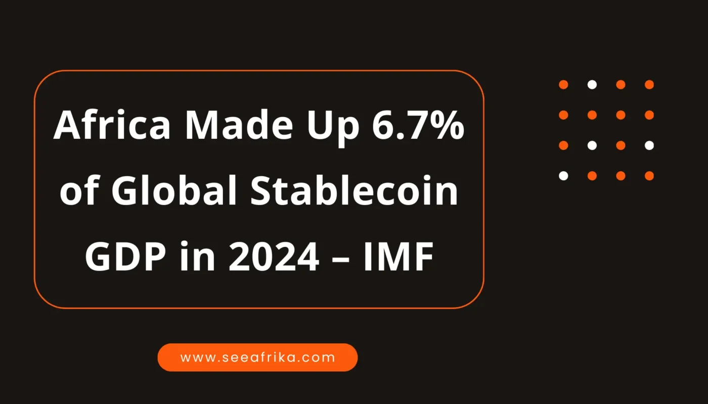 Africa Made Up 6.7% of Global Stablecoin GDP in 2024 – IMF