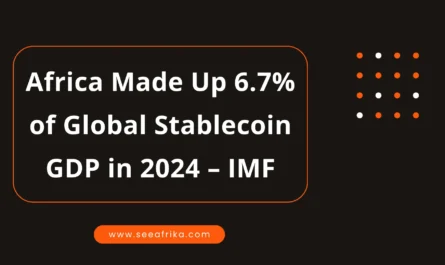 Africa Made Up 6.7% of Global Stablecoin GDP in 2024 – IMF