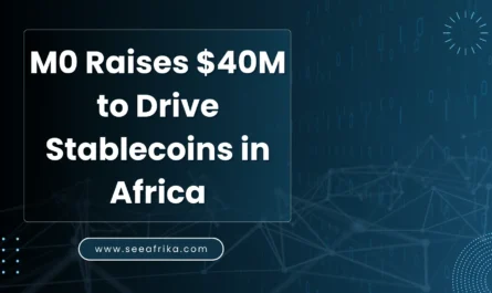 M0 Raises $40M to Drive Stablecoins in Africa