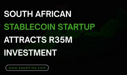 South African stablecoin startup attracts R35m investment